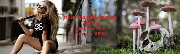 сатива Богородск
