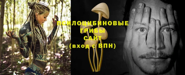 сатива Богородск