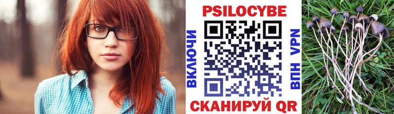 Галлюциногенные грибы прущие грибы  Верхний Тагил 