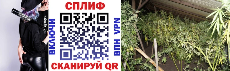 Бошки марихуана Bruce Banner Верхний Тагил