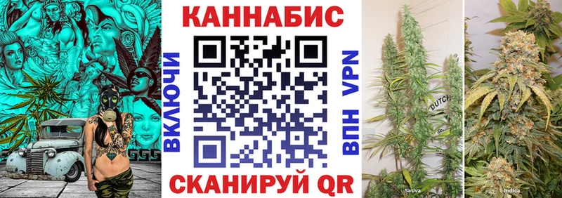 Бошки марихуана конопля  Верхний Тагил 